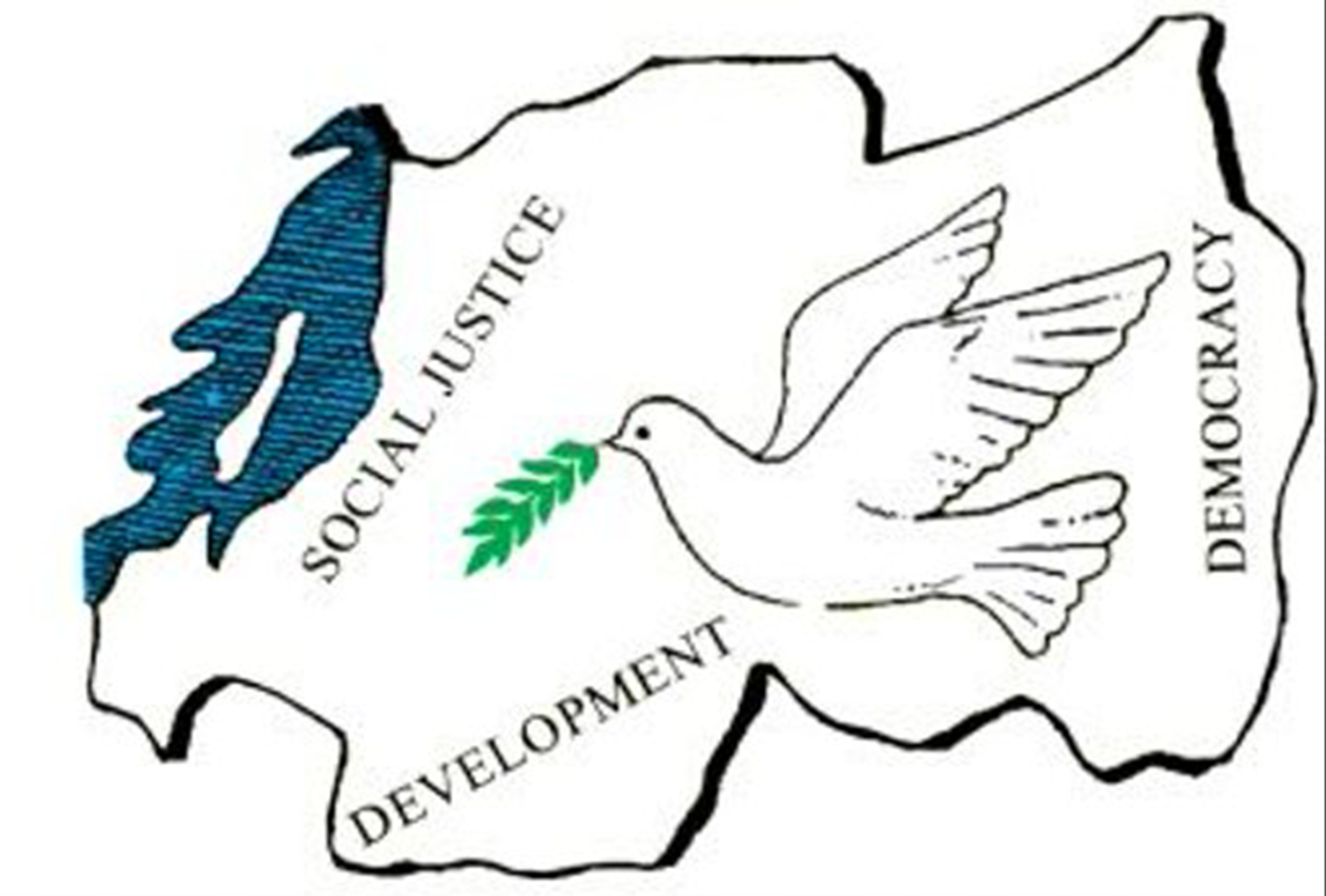 avp logo